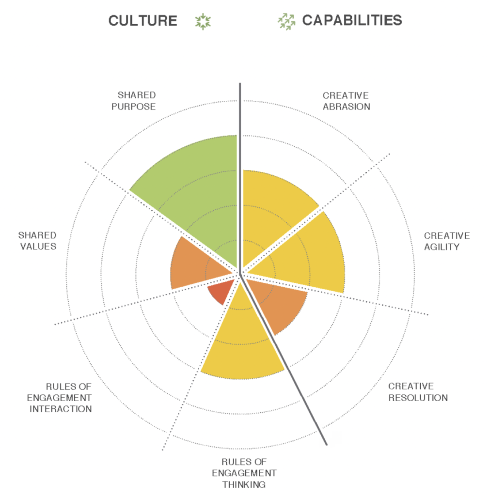 Assessing a leader's ability to manage the culture and capabilities of innovation